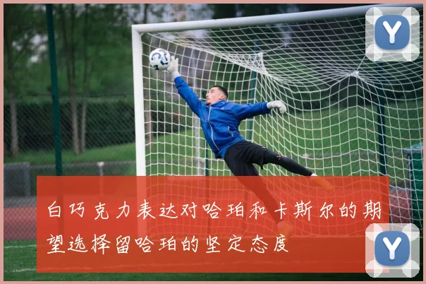 白巧克力表达对哈珀和卡斯尔的期望选择留哈珀的坚定态度